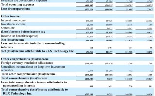 雾世界科技 得益于海外扩张，雾芯科技2024年营收同比增长733%