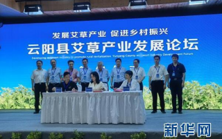 重庆黄精艾草生物科技 捧乍镇：艾香新厂投产 为“中药小镇”再添新动力