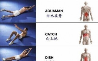 腹肌 科技 练成腹肌的标配，海德智能回弹健腹轮评测